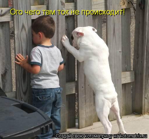 Котоматрица: Ого чего там ток не происходит!