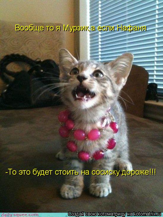 Котоматрица: Вообще то я Мурзик,а если Нафаня -То это будет стоить на сосиску дороже!!!