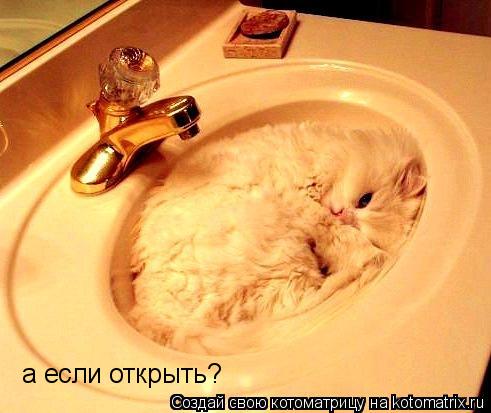 Котоматрица: а если открыть?