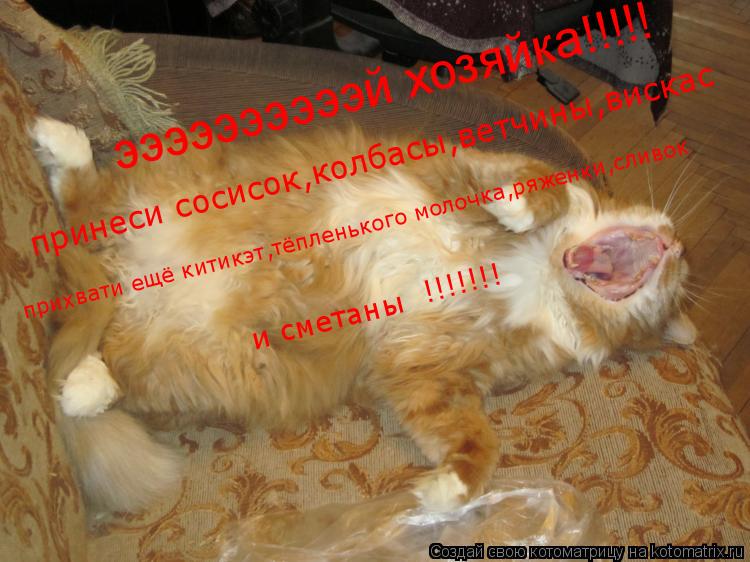 Котоматрица: ээээээээээй хозяйка!!!!! принеси сосисок,колбасы,ветчины,вискас прихвати ещё китикэт,тёпленького молочка,ряженки,сливок и сметаны !!!!!!!