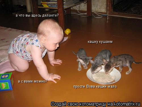 Котоматрица: а что вы здесь делаете? кашку кушаем а с вами можно? прости Вова кашки мало