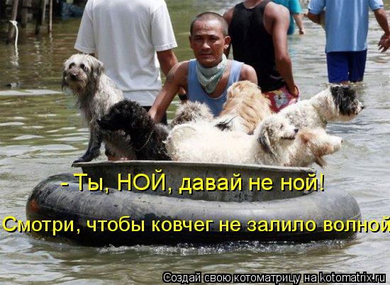 - Ты, НОЙ, давай не ной! Смотри, чтобы ковчег не залило волной.... Котоматрица: - Ты, НОЙ, давай не ной! Смотри, чтобы ковчег не залило волной.