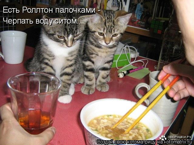 Котоматрица: Есть Роллтон палочками - Черпать воду ситом...
