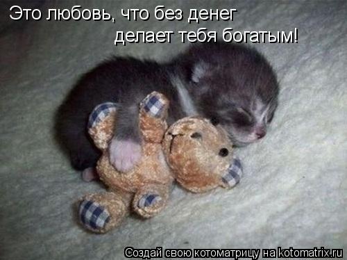 Котоматрица: Это любовь, что без денег  делает тебя богатым!