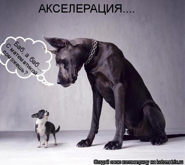 АКСЕЛЕРАЦИЯ.... Баб, а баб... С математикой поможешь?... Котоматрица: АКСЕЛЕРАЦИЯ.... Баб, а баб... С математикой поможешь?
