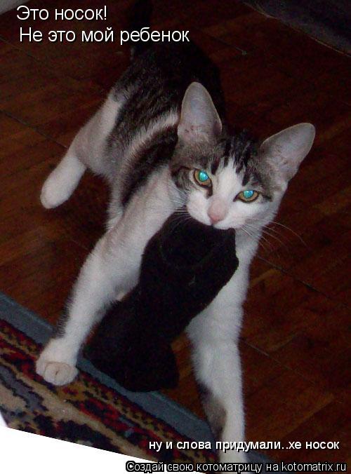 Котоматрица: Это носок!  Не это мой ребенок  ну и слова придумали..хе носок