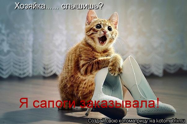 Котоматрица: Хозяйка...... слышишь? Я сапоги заказывала!