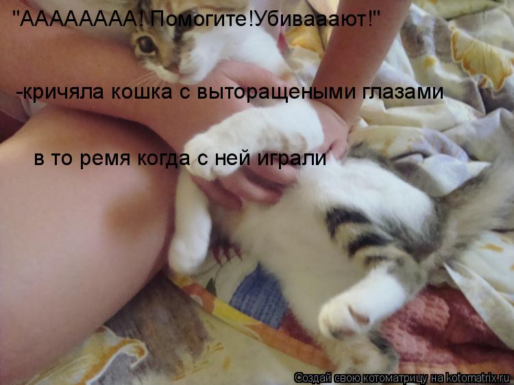 "АААААААА! Помогите!Убивааают!" -кричяла кошка с выторащеными глазами в то ремя когда с ней играли... Котоматрица: "АААААААА! Помогите!Убивааают!" -кричяла кошка с выторащеными глазами в то ремя когда с ней играли