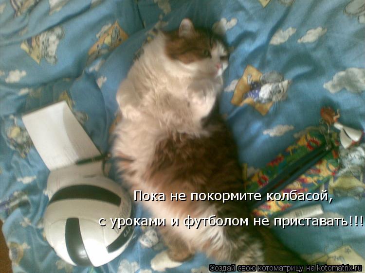 Пока не покормите колбасой, с уроками и футболом не приставать!!!!!... Котоматрица: Пока не покормите колбасой, с уроками и футболом не приставать!!!!!