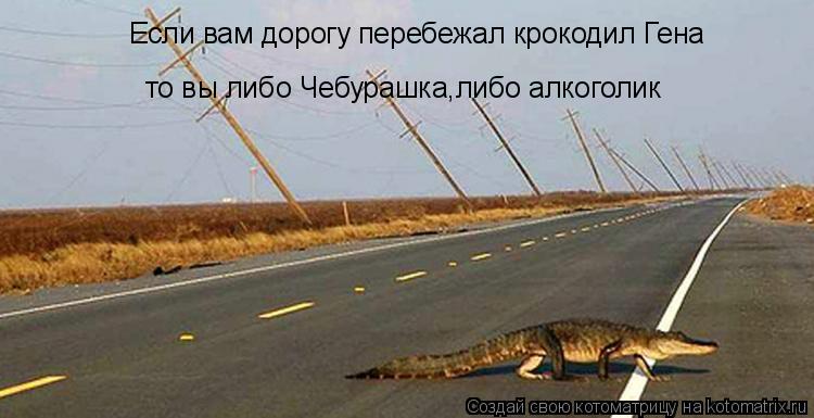 Если вам дорогу перебежал крокодил Гена то вы либо Чебурашка,либо алкоголик... Котоматрица: Если вам дорогу перебежал крокодил Гена то вы либо Чебурашка,либо алкоголик