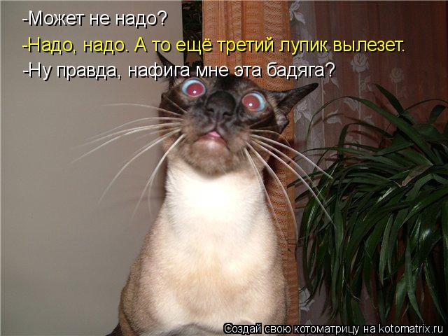 -Может не надо? -Надо, надо. А то ещё третий лупик вылезет. -Ну правда, нафига мне эта бадяга?... Котоматрица: -Может не надо? -Надо, надо. А то ещё третий лупик вылезет. -Ну правда, нафига мне эта бадяга?
