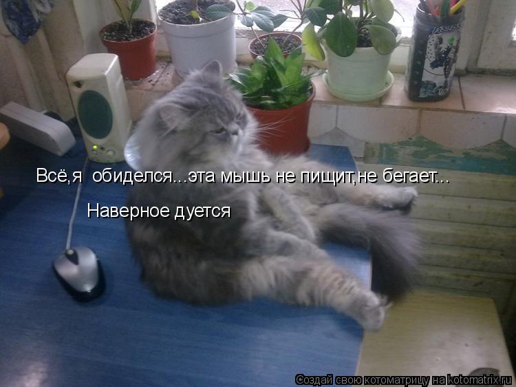 Всё,я обиделся...эта мышь не пищит,не бегает... Наверное дуется... Котоматрица: Всё,я обиделся...эта мышь не пищит,не бегает... Наверное дуется