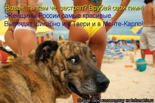 -Вован, ты там чё, застрял? Врубай свои гимн! -Женщины России самые красивые, Выглядят шикарно и в Тв... Котоматрица: -Вован, ты там чё, застрял? Врубай свои гимн! -Женщины России самые красивые, Выглядят шикарно и в Твери и в Монте-Карло!...