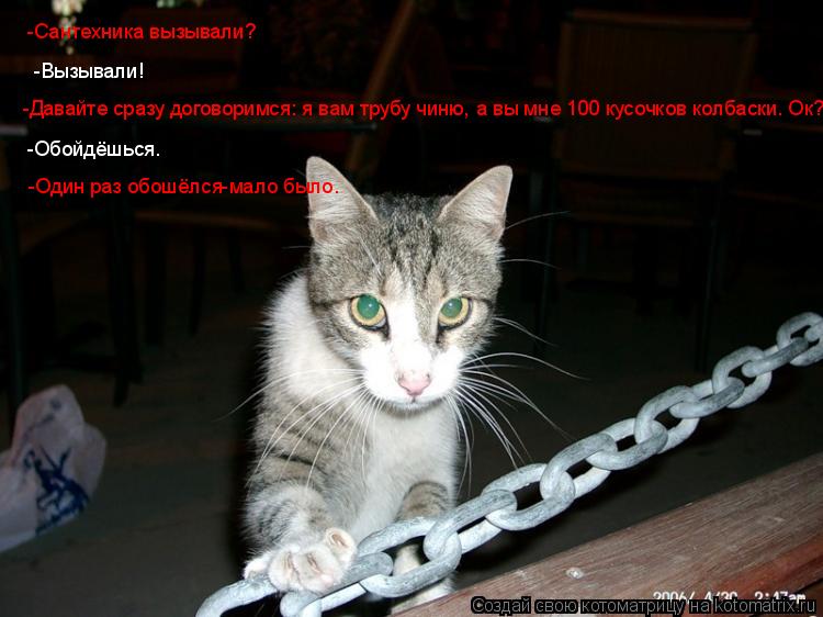 -Сантехника вызывали? -Вызывали! -Давайте сразу договоримся: я вам трубу чиню, а вы мне 100 кусочков ... Котоматрица: -Сантехника вызывали? -Вызывали! -Давайте сразу договоримся: я вам трубу чиню, а вы мне 100 кусочков колбаски. Ок? -Обойдёшься. -Один раз обошёлс