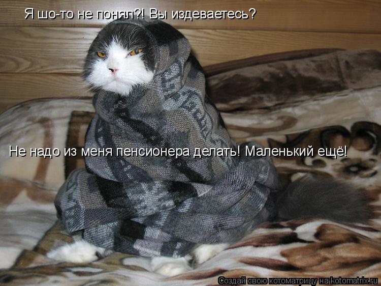 Я шо-то не понял?! Вы издеваетесь? Не надо из меня пенсионера делать! Маленький ещё!... Котоматрица: Я шо-то не понял?! Вы издеваетесь? Не надо из меня пенсионера делать! Маленький ещё!