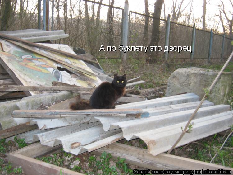 Котоматрица: А по буклету это дворец
