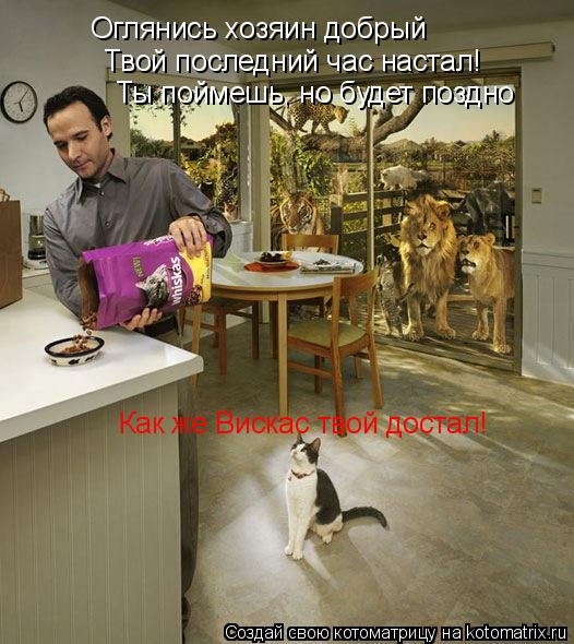 Котоматрица: Оглянись хозяин добрый Твой последний час настал! Ты поймешь, но будет поздно Как же Вискас твой достал!