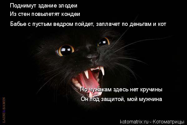 Бабье с пустым ведром пойдет, заплачет по деньгам и кот Он под защитой, мой мужчина Поднимут здание з... Котоматрица: Бабье с пустым ведром пойдет, заплачет по деньгам и кот Он под защитой, мой мужчина Поднимут здание злодеи Из стен повылетят кондеи По чужак