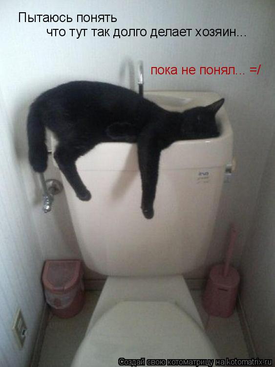 Пытаюсь понять что тут так долго делает хозяин... пока не понял... =/... Котоматрица: Пытаюсь понять что тут так долго делает хозяин... пока не понял... =/