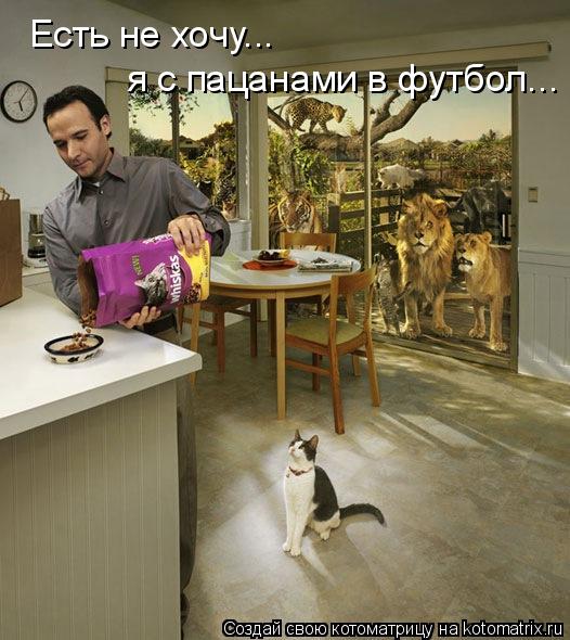Есть не хочу... я с пацанами в футбол...... Котоматрица: Есть не хочу... я с пацанами в футбол...