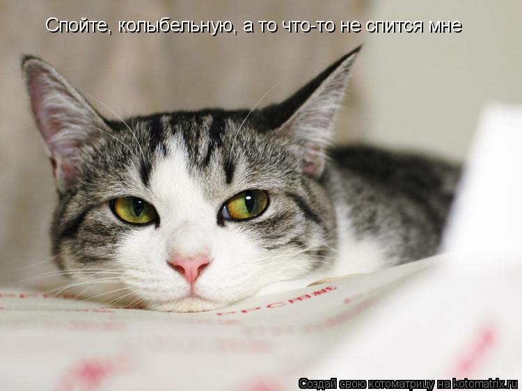 Спойте, колыбельную, а то что-то не спится мне... Котоматрица: Спойте, колыбельную, а то что-то не спится мне