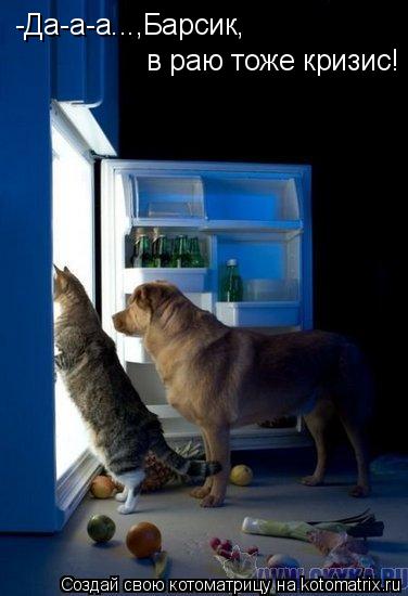 -Да-а-а...,Барсик, в раю тоже кризис!... Котоматрица: -Да-а-а...,Барсик, в раю тоже кризис!