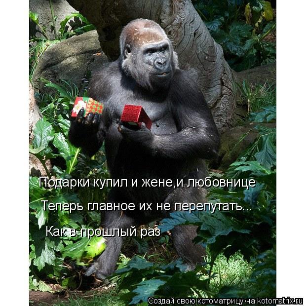 Котоматрица: Подарки купил и жене,и любовнице  Теперь главное их не перепутать...  Как в прошлый раз