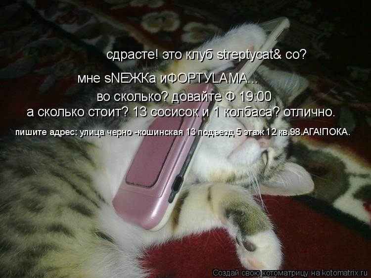 Котоматрица: сдрасте! это клуб streptycat& co? мне sNEЖКа иФОРТУLAMA... во сколько? довайте Ф 19:00 а сколько стоит? 13 сосисок и 1 колбаса? отлично.  пишите адрес