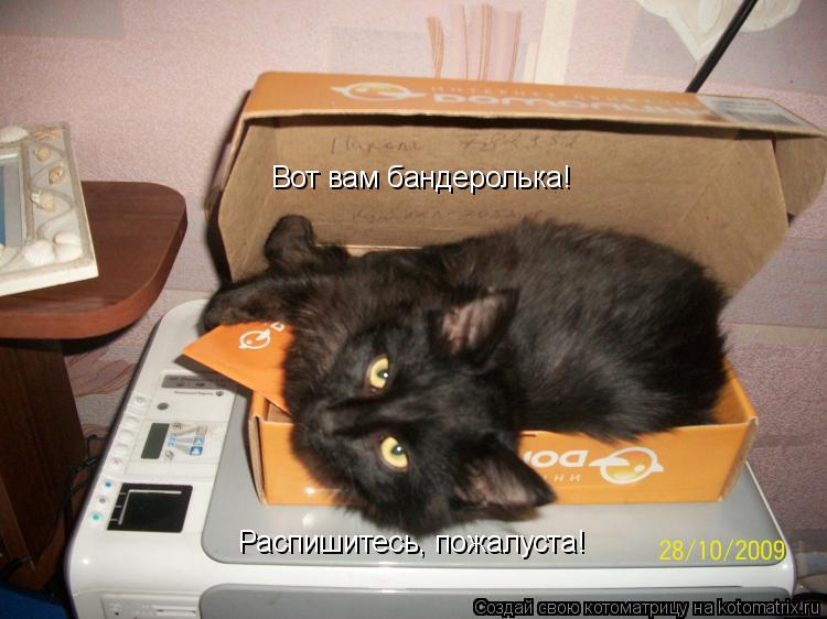 Котоматрица: Вот вам бандеролька! Распишитесь, пожалуста!