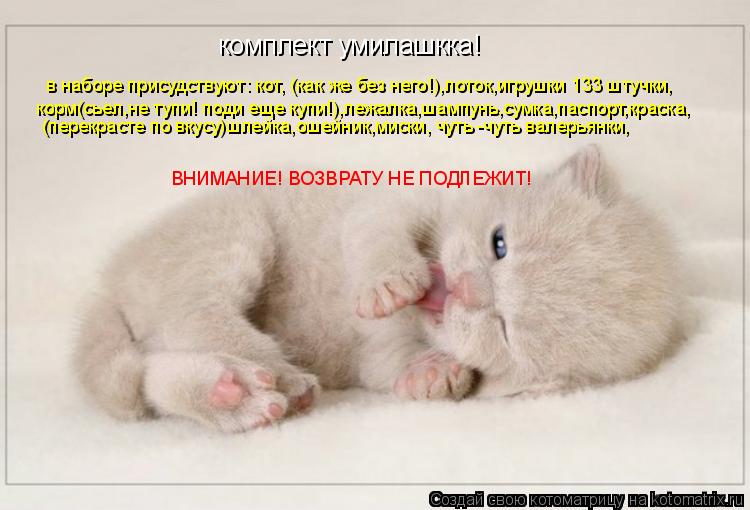 Котоматрица: комплект умилашкка! в наборе присудствуют: кот, (как же без него!),лоток,игрушки 133 штучки, корм(сьел,не тупи! поди еще купи!),лежалка,шампунь,с