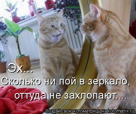 Эх... Сколько ни пой в зеркало, оттуда не захлопают....... Котоматрица: Эх... Сколько ни пой в зеркало, оттуда не захлопают....