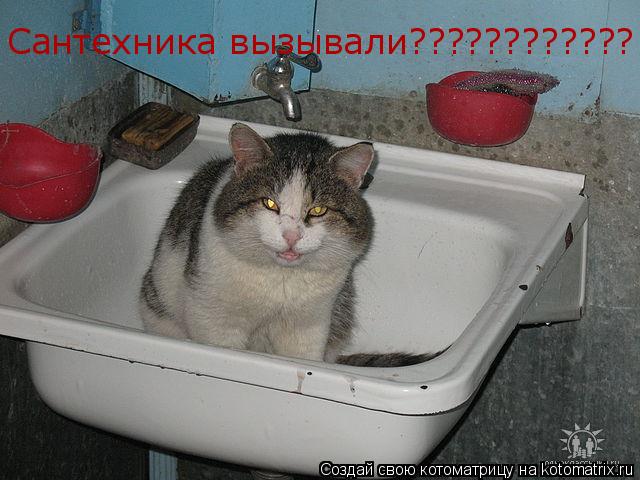 Котоматрица: Сантехника вызывали????????????
