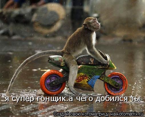 Котоматрица: я супер гонщик.а чего добился ты