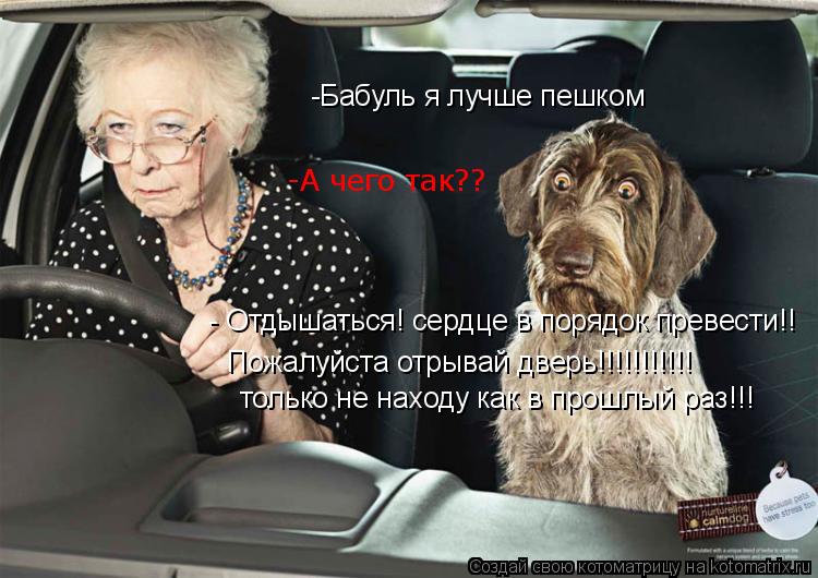 Котоматрица: -Бабуль я лучше пешком только не находу как в прошлый раз!!! - Отдышаться! сердце в порядок превести!! Пожалуйста отрывай дверь!!!!!!!!!!! -А чего т