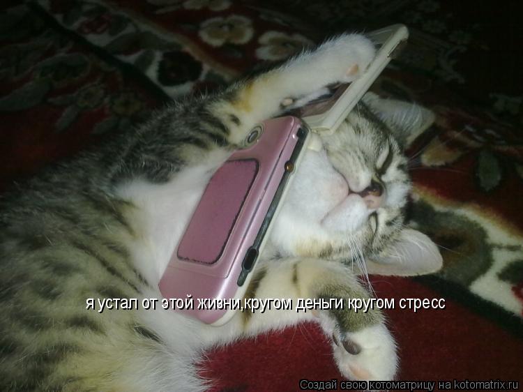 Котоматрица: я устал от этой жизни,кругом деньги кругом стресс