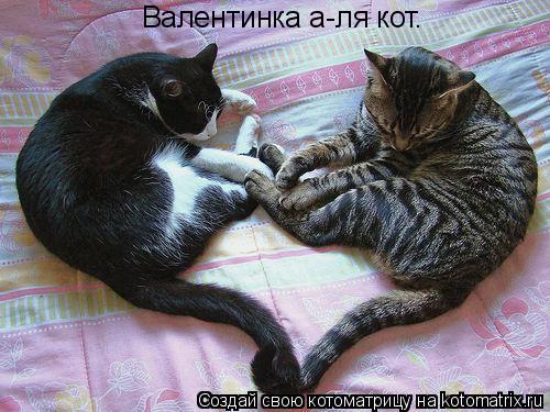 Котоматрица: Валентинка а-ля кот.