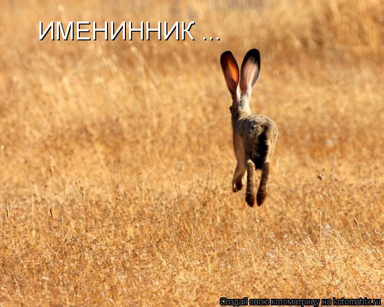 ИМЕНИННИК ...... Котоматрица: ИМЕНИННИК ...