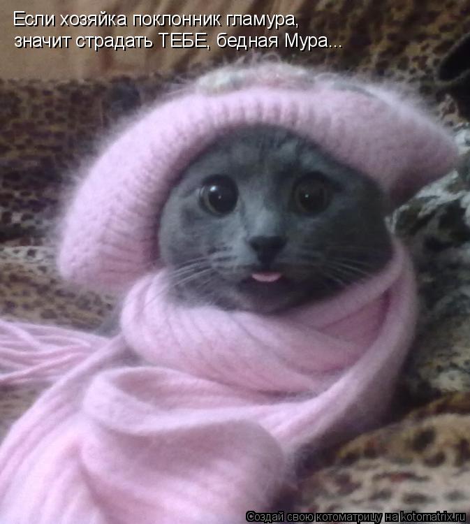 Если хозяйка поклонник гламура, значит страдать ТЕБЕ, бедная Мура...... Котоматрица: Если хозяйка поклонник гламура, значит страдать ТЕБЕ, бедная Мура...