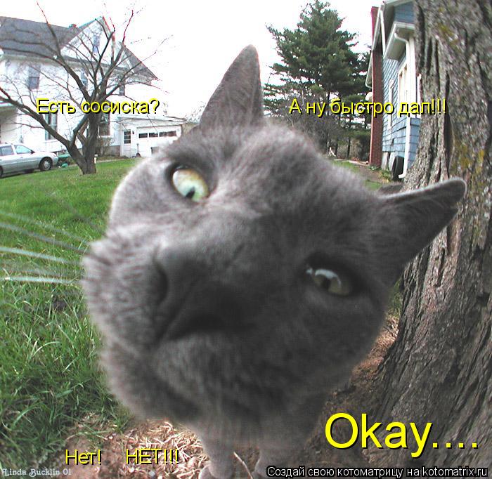 Есть сосиска? Нет! А ну быстро дал!!! НЕТ!!! Okay....... Котоматрица: Есть сосиска? Нет! А ну быстро дал!!! НЕТ!!! Okay....