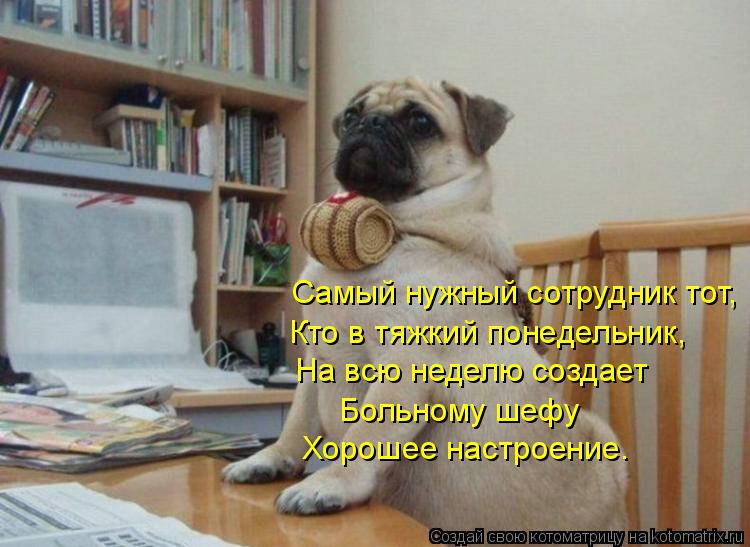 Котоматрица: Самый нужный сотрудник тот,  Кто в тяжкий понедельник,  На всю неделю создает Больному шефу Хорошее настроение.
