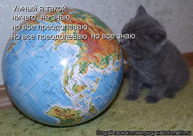 Умный я такой, ничего не знаю, но все преодолеваю но все преодолеваю но все знаю.... Котоматрица: Умный я такой, ничего не знаю, но все преодолеваю но все преодолеваю но все знаю.