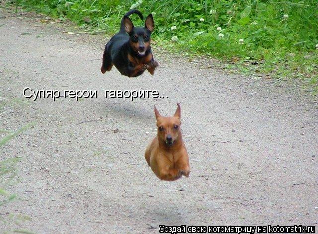 Котоматрица: Супяр герои  гаворите...