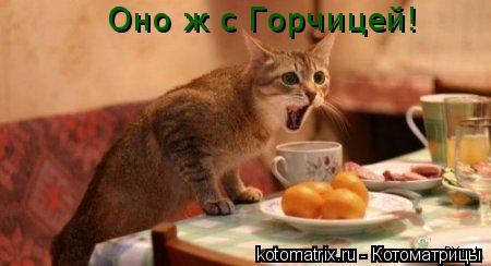 Котоматрица: Оно ж с Горчицей!