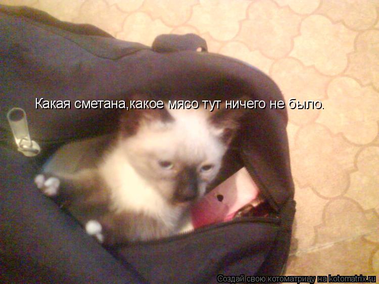 Котоматрица: Какая сметана,какое мясо тут ничего не было.