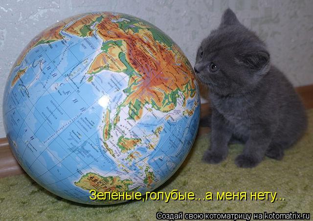 Котоматрица: Зелёные,голубые...а меня нету...