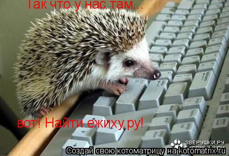 Котоматрица: Так что у нас там... вот! Найти ежиху.ру!