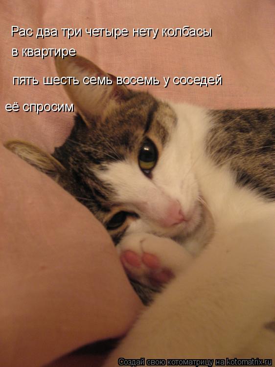 Котоматрица: Рас два три четыре нету колбасы в квартире Рас два три четыре нету колбасы  в квартире пять шесть семь восемь у соседей  её спросим
