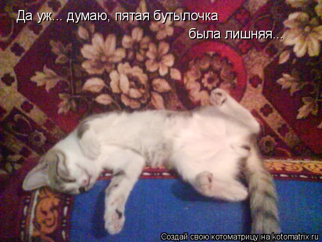 Котоматрица: Да уж... думаю, пятая бутылочка была лишняя...