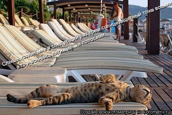 Котоматрица: Слышь,хозяин,мне в следующий раз крем солнцезащитный тоже возьми а то я вон-весь пятнами... и полосами...