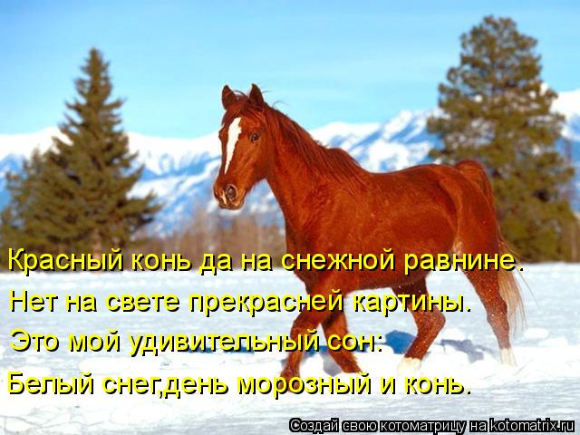 Красивые стих про лошадь и Красивые стих про лошадь и